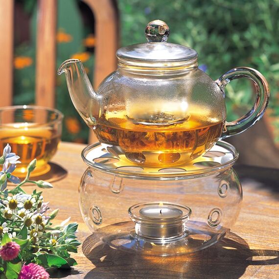 Hario Jumping Tea Pot Заварочный чайник, Объем: 500 мл, фото 