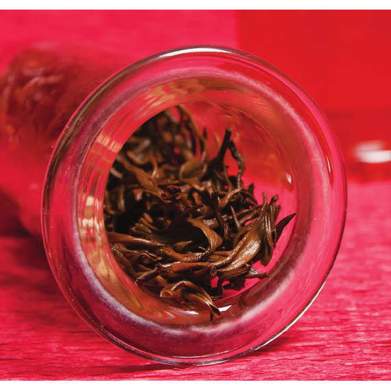 Золотые брови #3 Золотые брови #3